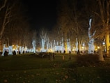 City park illuminated by energy-efficient smart lighting