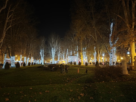 City park illuminated by energy-efficient smart lighting