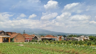 A rural landscape with a row of small houses featuring red and brown rooftops, surrounded by lush greenery and fields. The background consists of distant mountains under a partly cloudy sky, creating a serene and peaceful atmosphere.