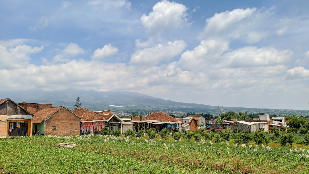 a small village with a mountain in the background