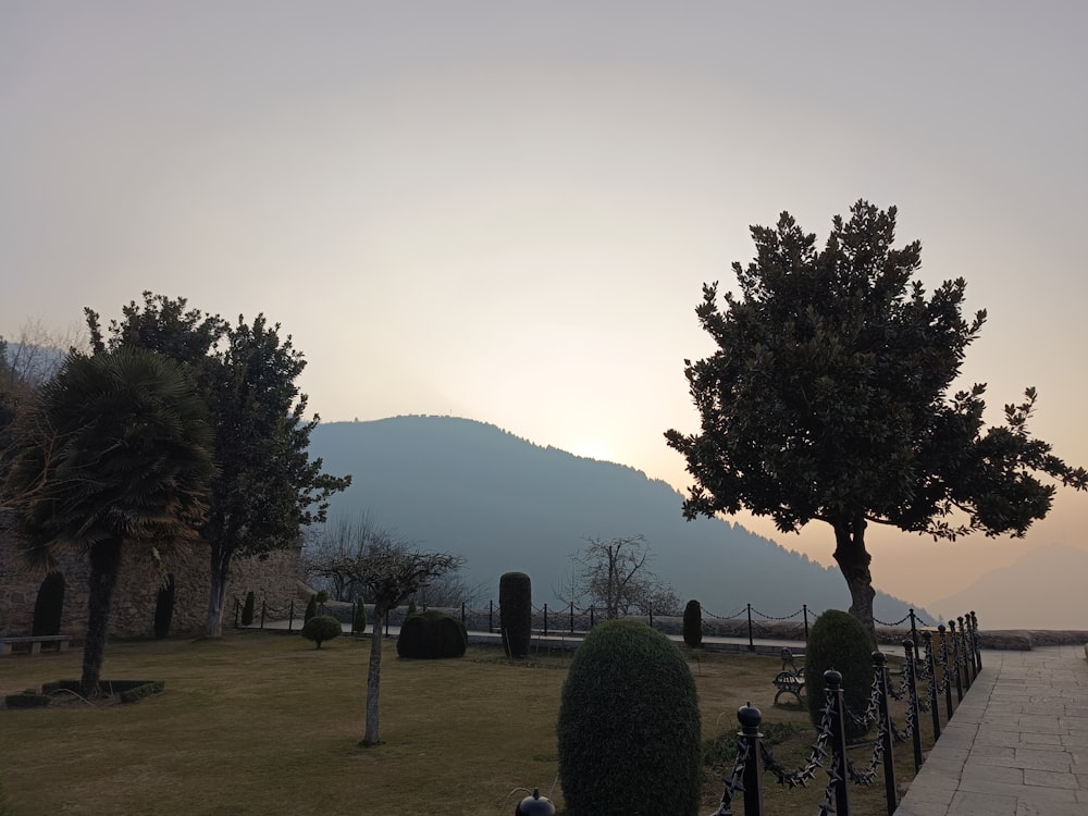 a grassy field with trees and mountains in the background