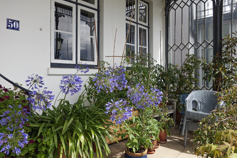 a number of potted plants in front of a house