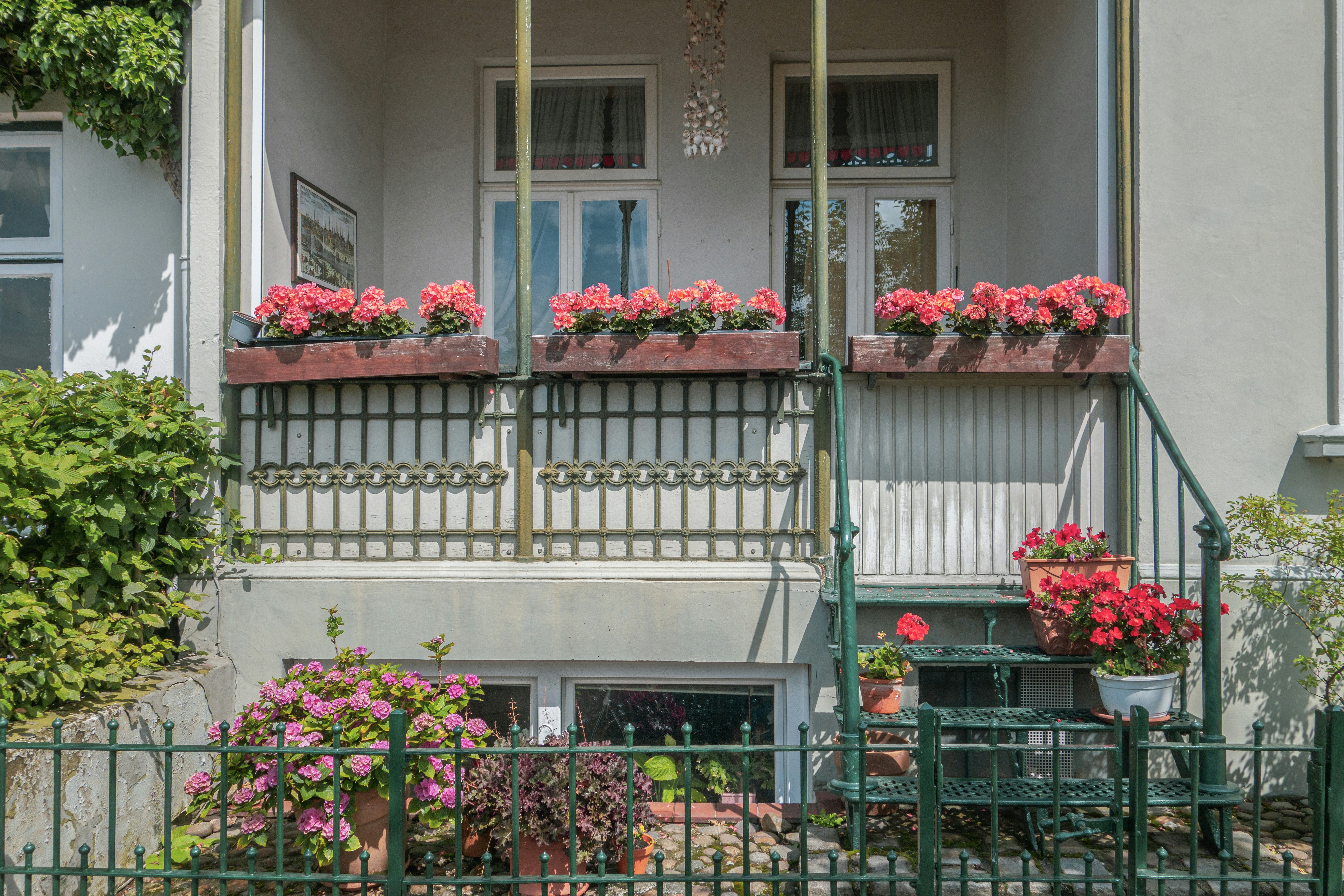 Flores Silvestres para a Varanda: Qual a Melhor Opção para o Seu Ambiente?