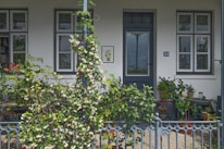 A welcoming front door of a rental property surrounded by lush greenery and soft muted tones.