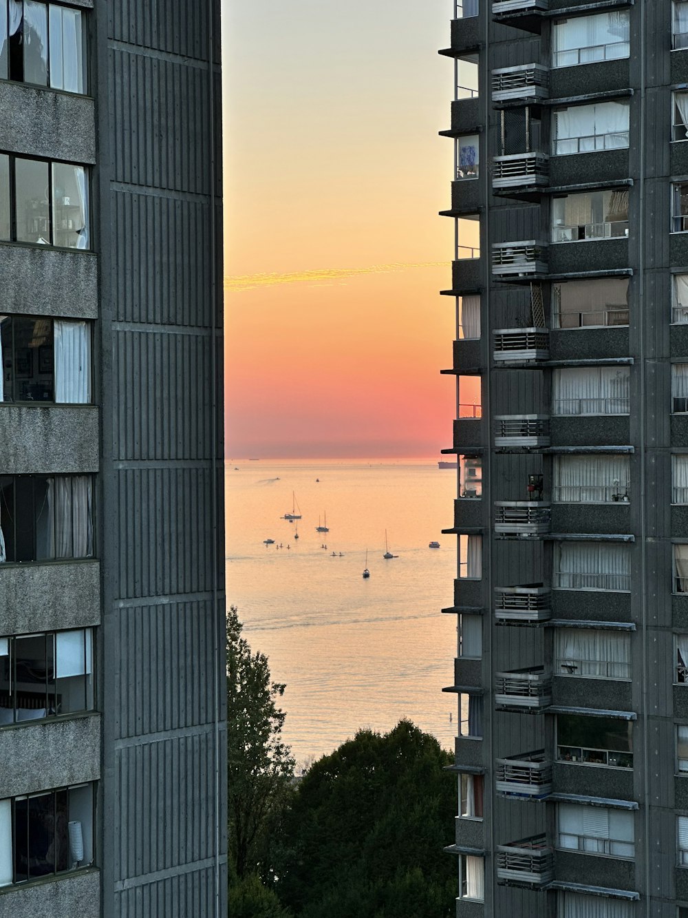 a view of a body of water from a high rise building