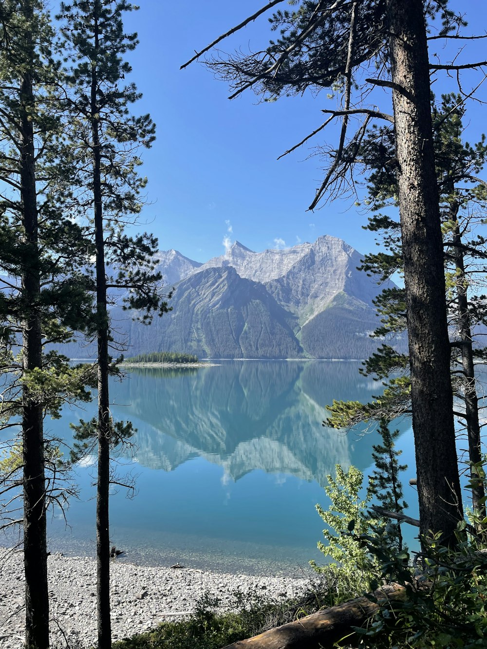 a lake surrounded by trees with mountains in the background