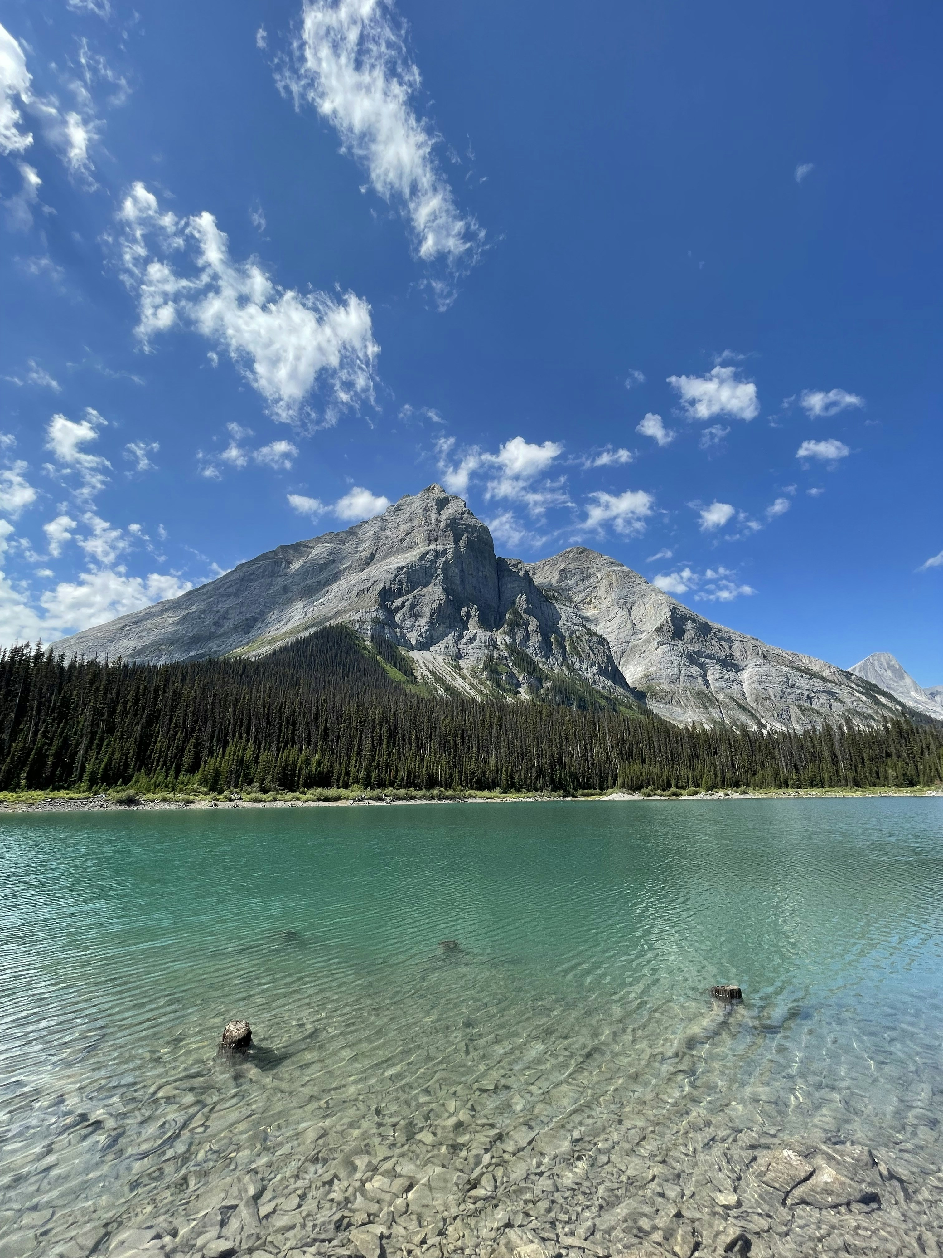 a mountain is in the distance with a lake in the foreground