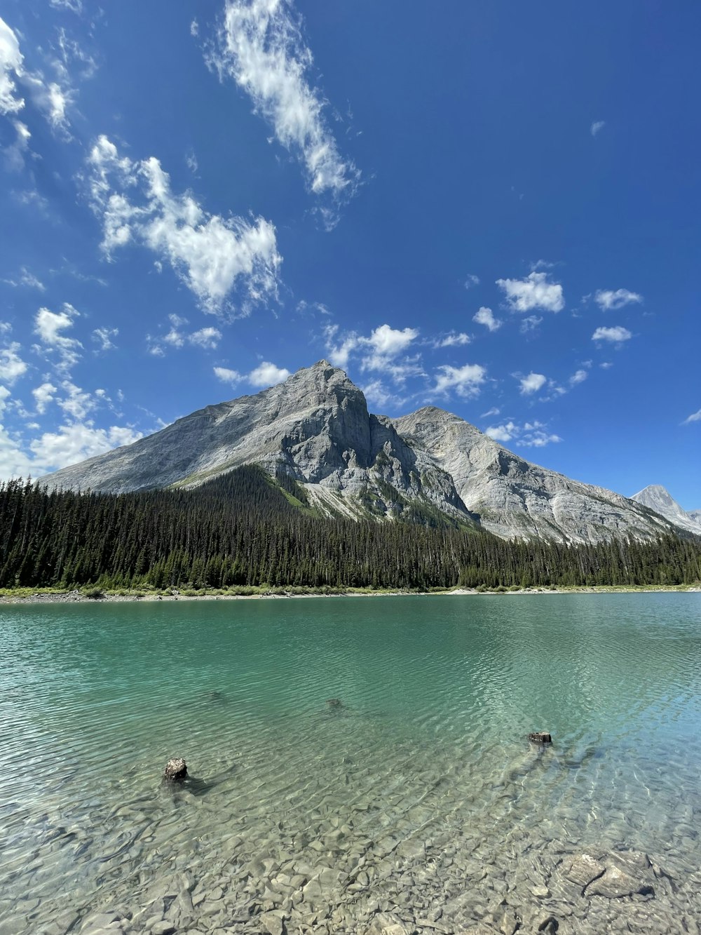 a mountain is in the distance with a lake in the foreground