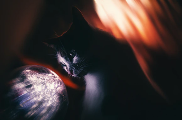 A whimsical cartoon cat holding an enchanted mailbox glowing softly with floating sparkles around it.