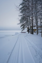 Snow-covered road leading to a lakeside cottage.