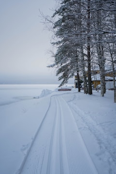 Snow-covered road leading to a lakeside cottage.