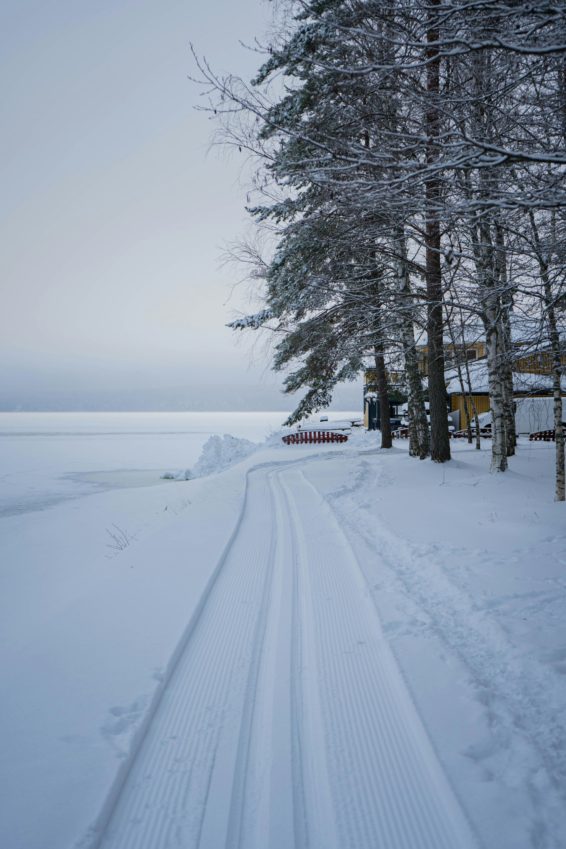 a path in the snow leading to a cabin
