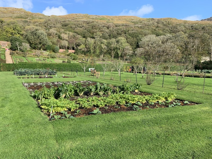 Kylemore Abbey Garden, Ireland
