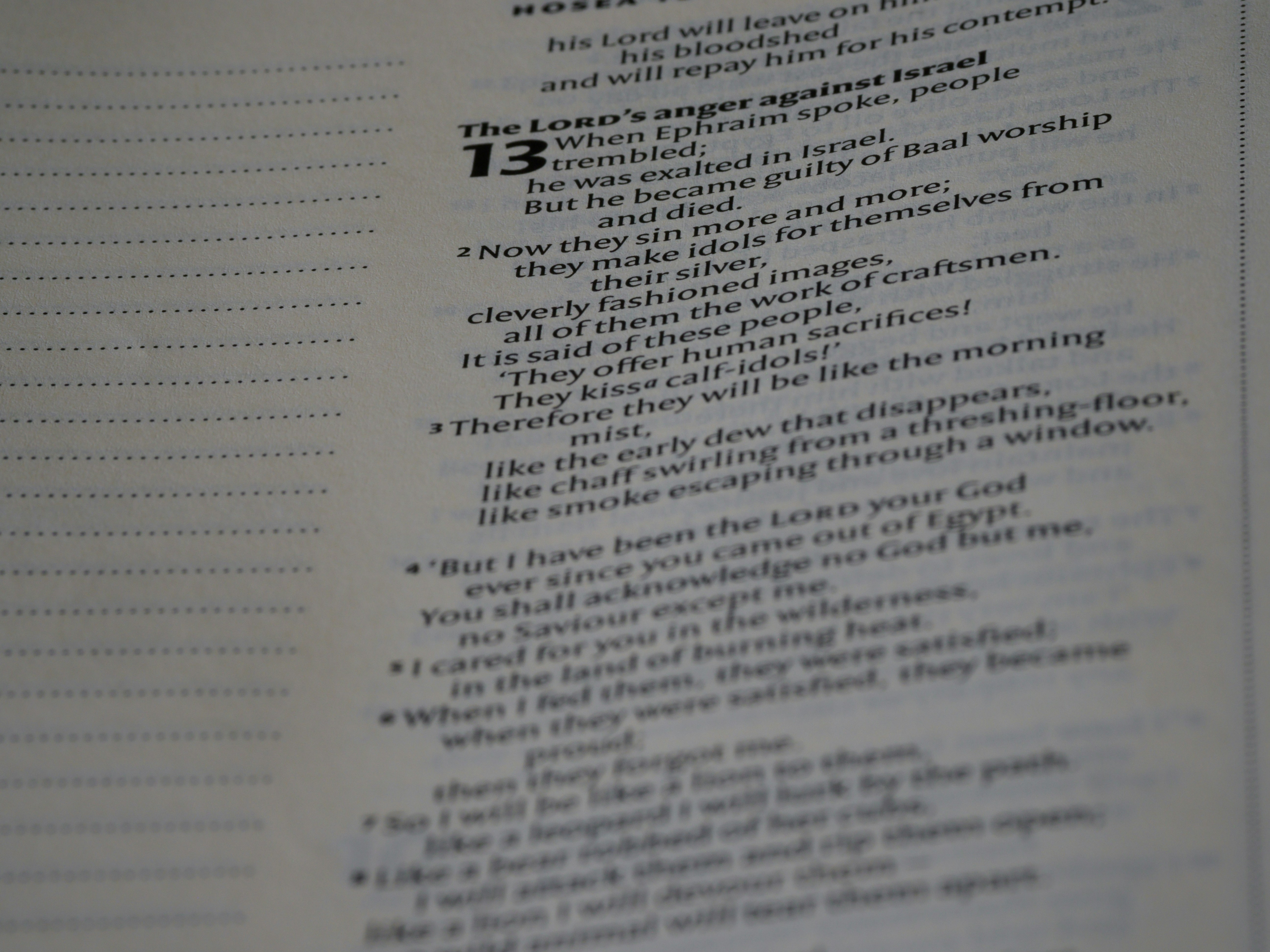 close up, bokeh, macro, blur, blurred background, close focus, bible, old testament, hebrew bible, christian, judaism, history, text, reading, bible study, devotions, text, NIV, New International Version, type, typography, canon, christianity, holy scripture, holy bible, scripture, old testament, hebrew bible, prophecy, exile, judgement, judgment, redemption, septuagint, destruction of jerusalem, restoration of israel, restoration, hosea, הוֹשֵׁעַ, osee, son of beeri, minor prophet, minor prophets, talmud, salvation, he saves, he helps, gomer, mercy of god,