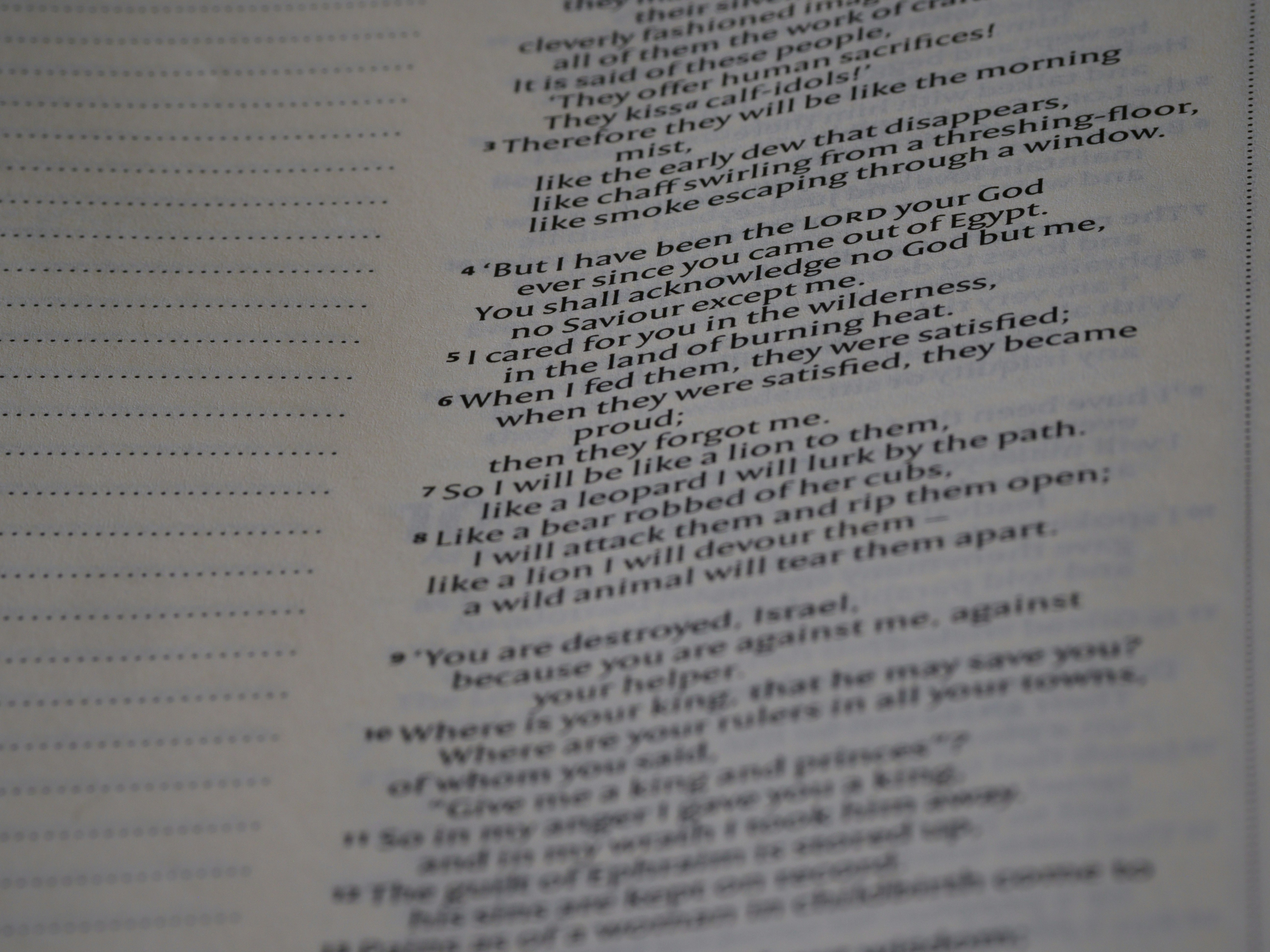 Photo by brett_jordan