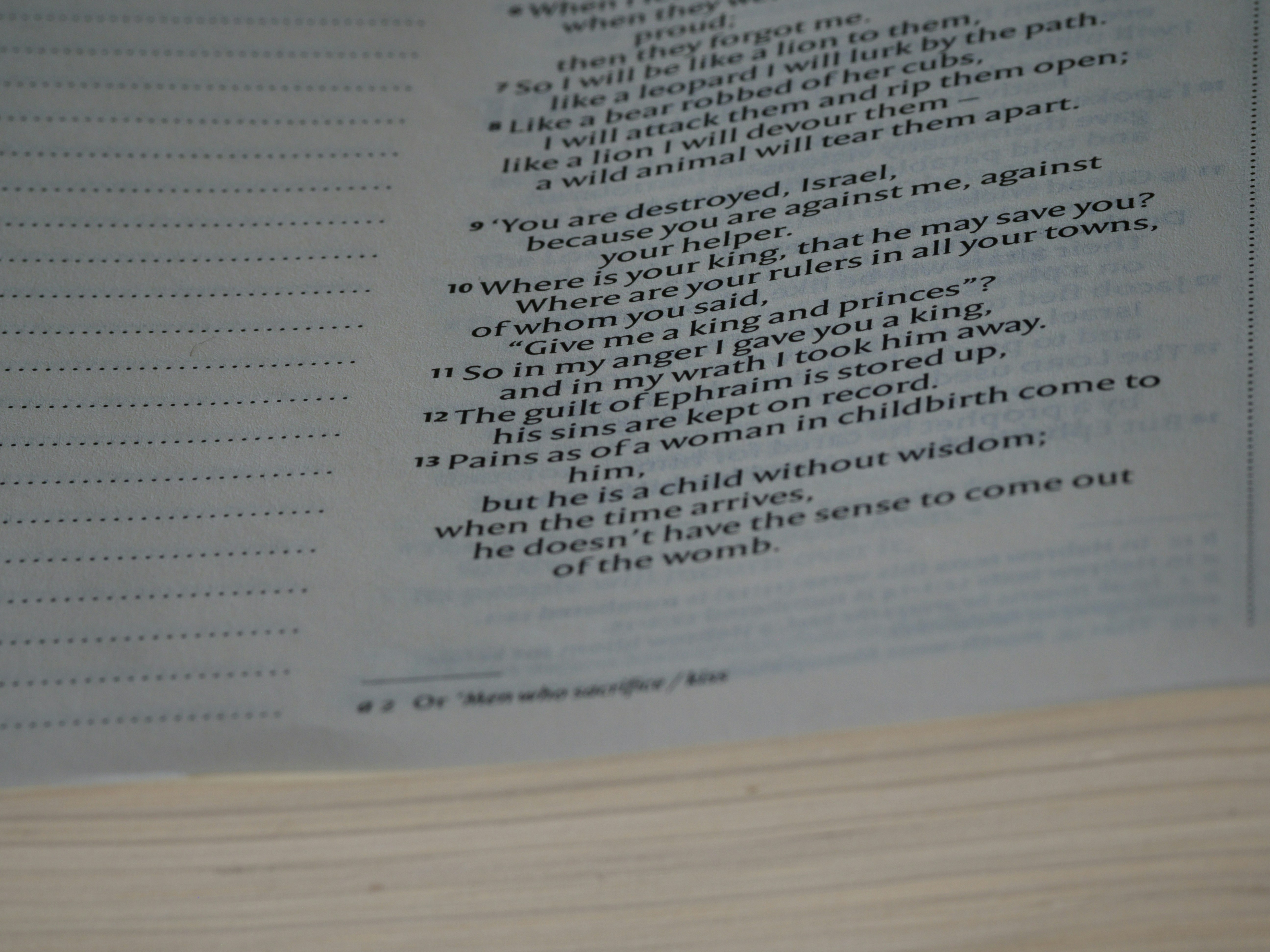 Handcrafted Zine & Poetry Collection