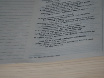 Exploring the World of Thought-Driven Poetry