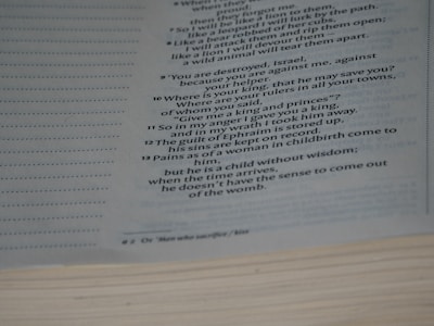 A close-up of a page from a book, featuring text in a columned format. The text includes numbered lines and is presented in a poetic or biblical style, with some words highlighted in bold.