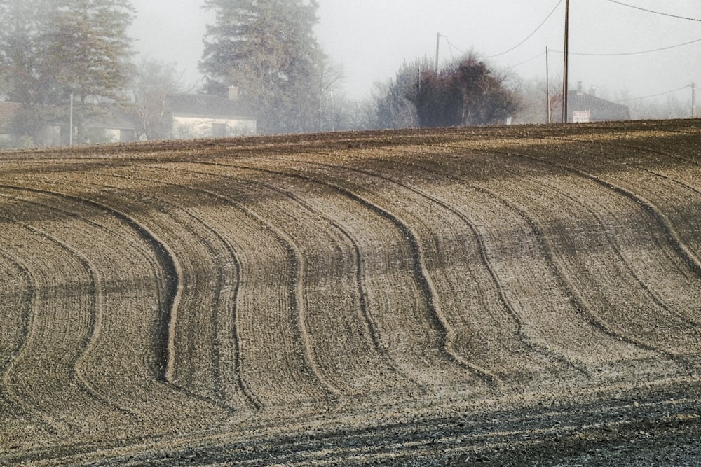 a tractor plowing a field on a foggy day