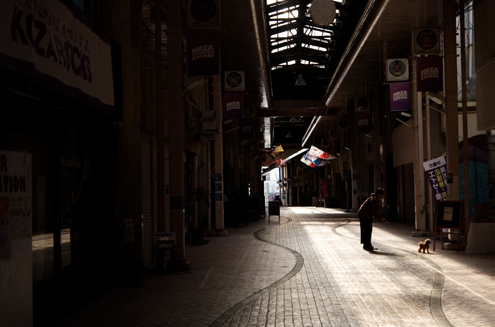 a person walking down a street with a dog on a leash