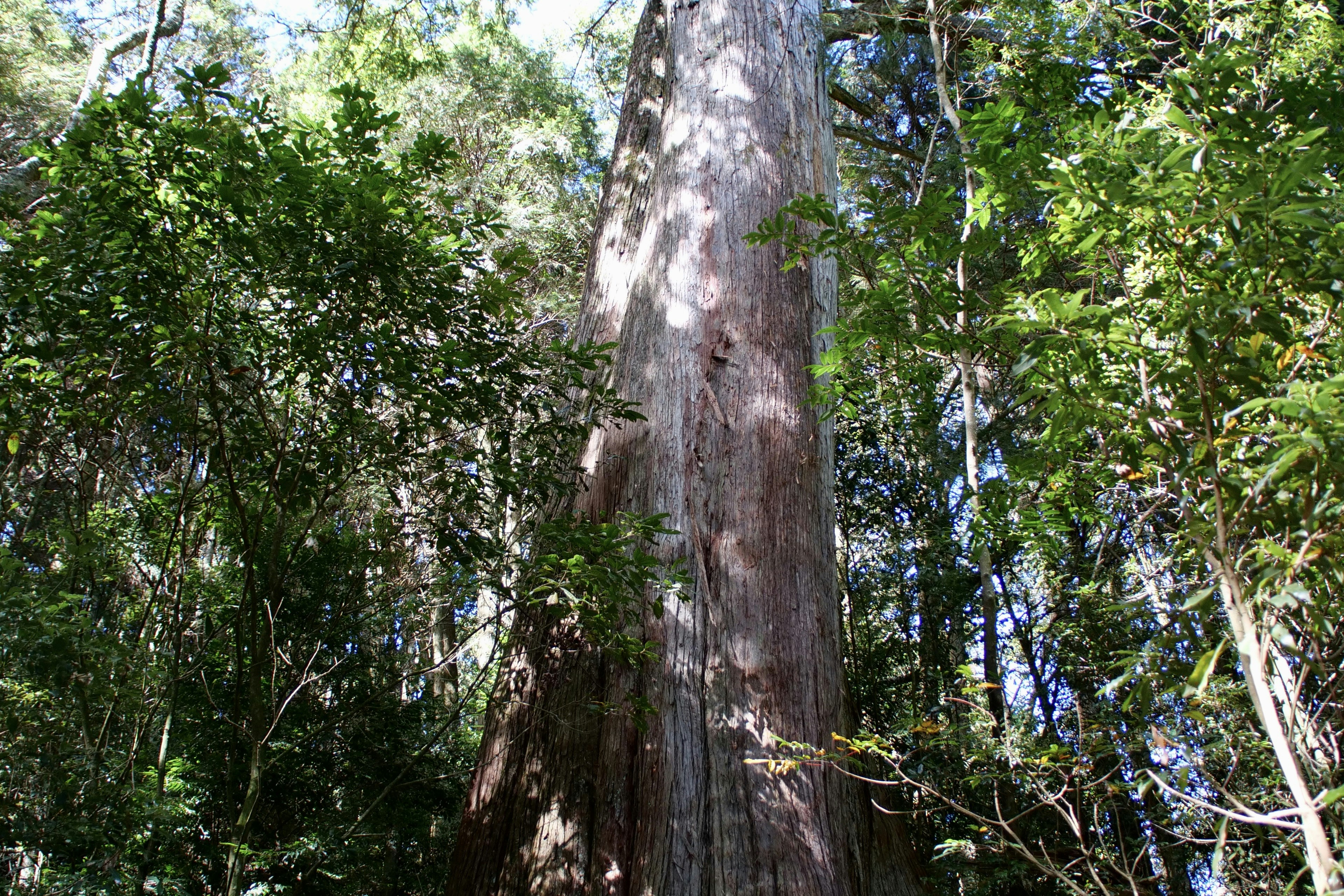 Photo by cocoshalalala