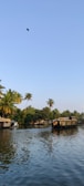 A tranquil waterway is surrounded by lush greenery and tall palm trees. Traditional houseboats float gently on the water. The sky is clear with a bird flying above.