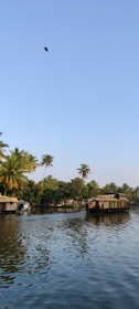 A tranquil waterway is surrounded by lush greenery and tall palm trees. Traditional houseboats float gently on the water. The sky is clear with a bird flying above.