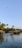 A tranquil waterway is surrounded by lush greenery and tall palm trees. Traditional houseboats float gently on the water. The sky is clear with a bird flying above.