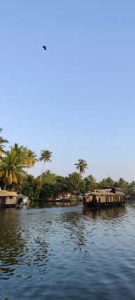 A tranquil waterway is surrounded by lush greenery and tall palm trees. Traditional houseboats float gently on the water. The sky is clear with a bird flying above.