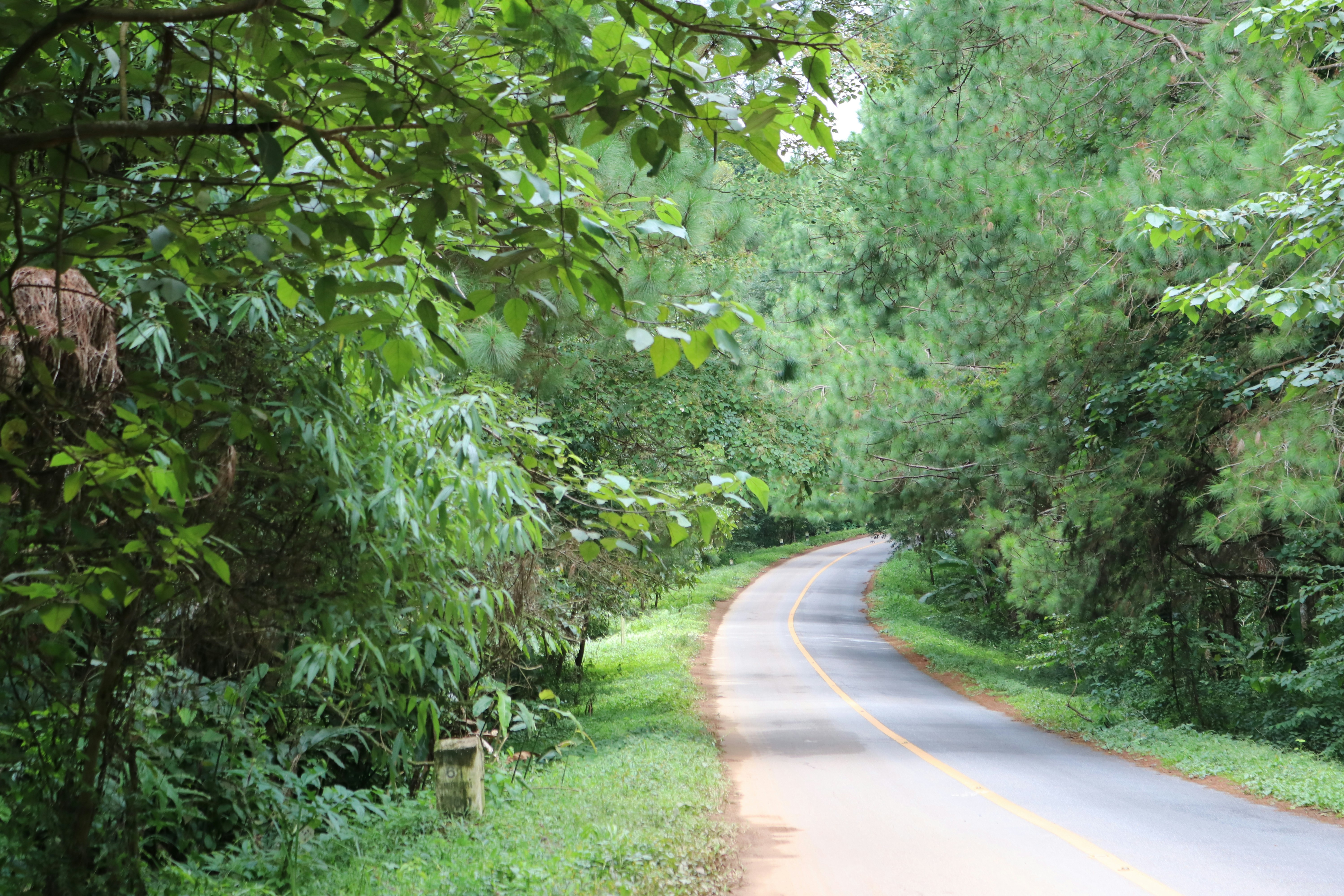 Photo by cotg0881752308