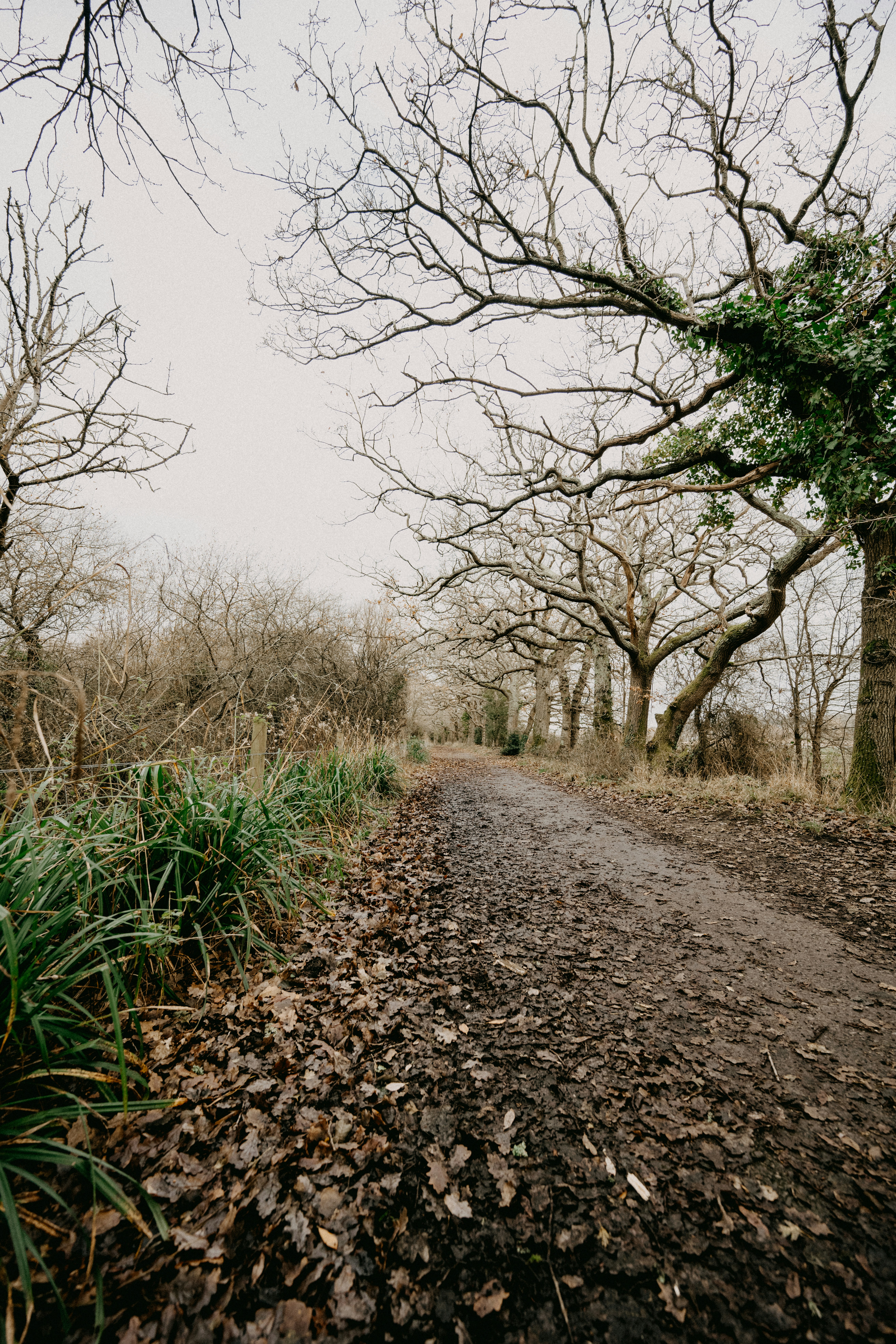 Photo by anniespratt