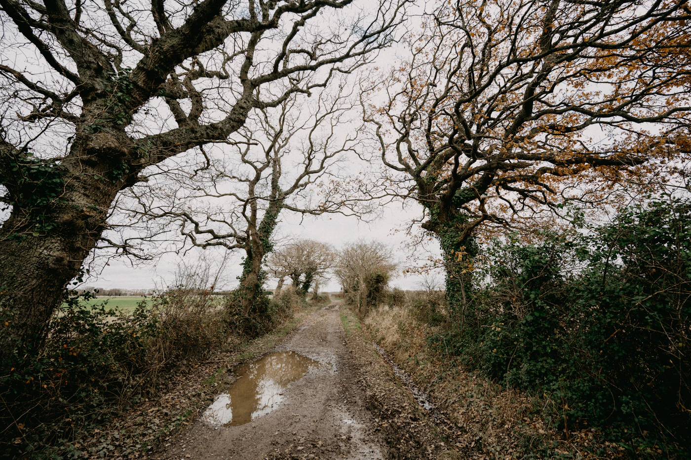 Storm-soaked rural property after heavy weather