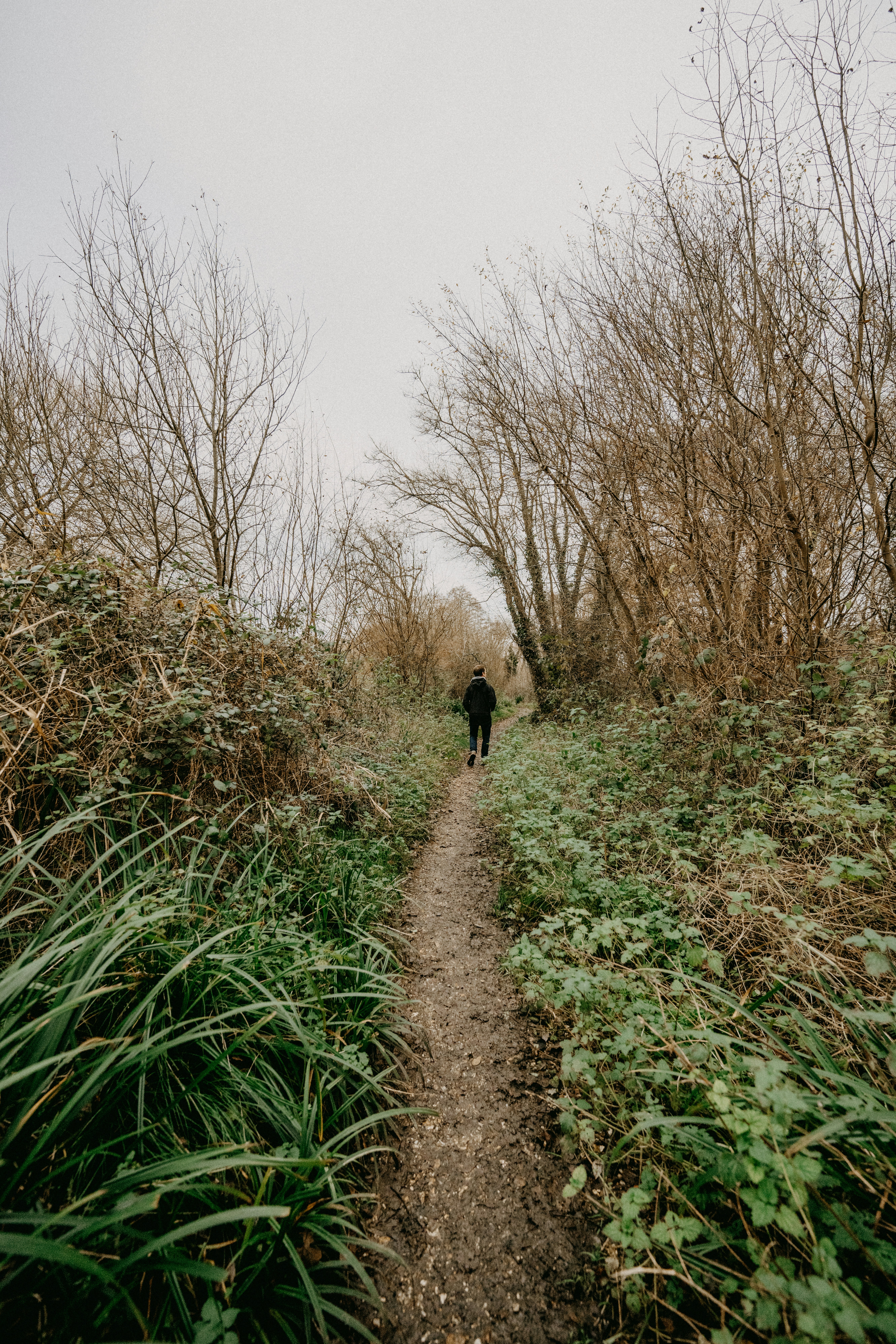 Photo by anniespratt