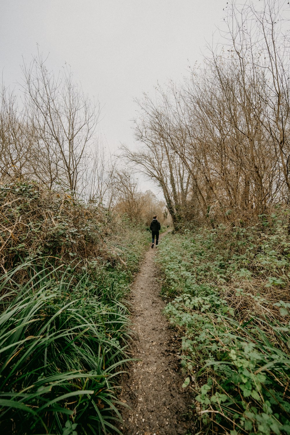 a person walking down a path in the woods