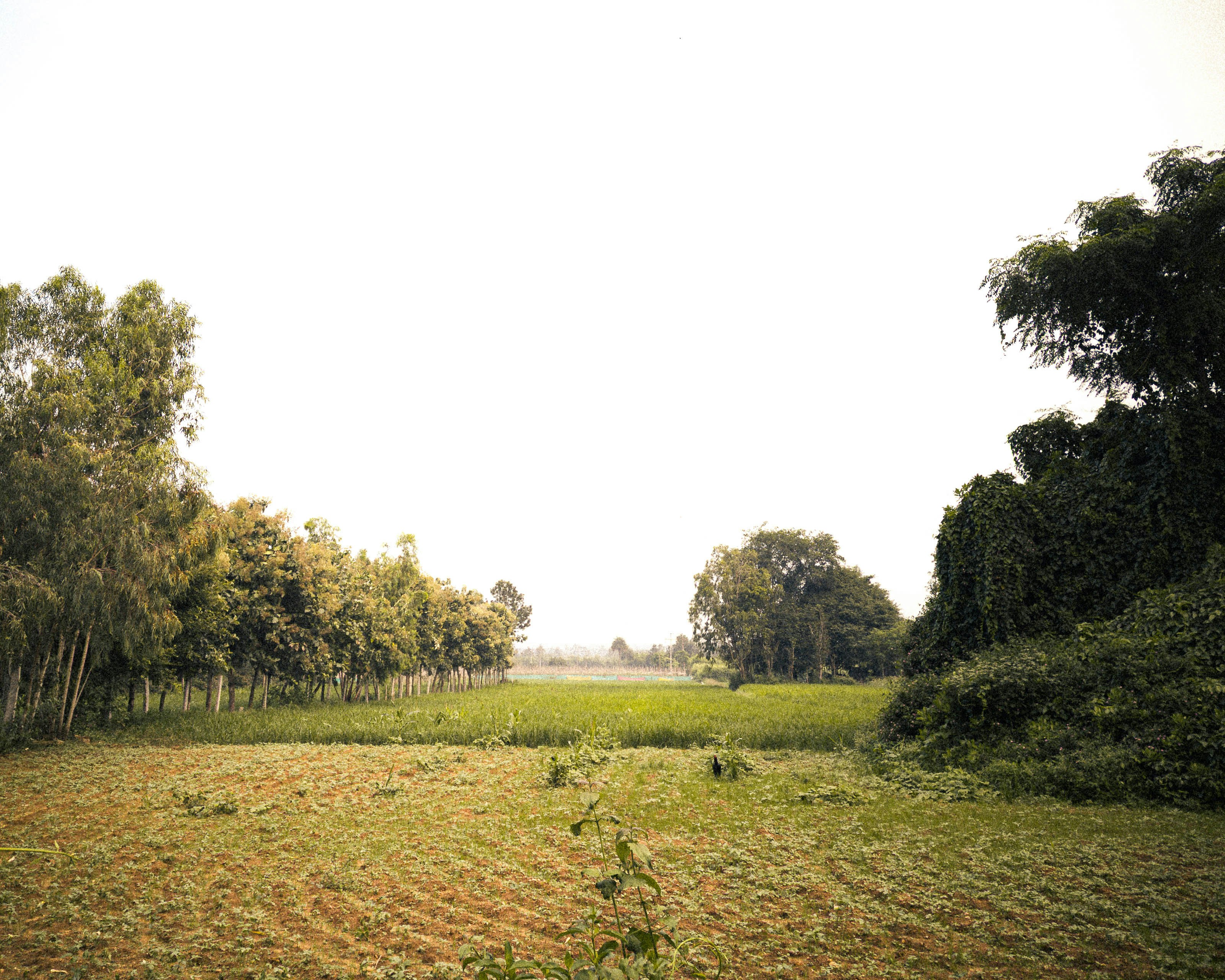 Photo by cinemascape