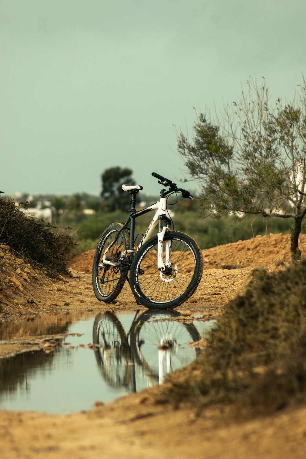 a bike parked on the side of a dirt road