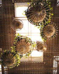 Multiple round hanging planters with metal frames are suspended from a grid-patterned ceiling. They contain lush green plants, and sunlight filters through them, casting intricate shadows.
