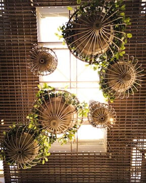 Multiple round hanging planters with metal frames are suspended from a grid-patterned ceiling. They contain lush green plants, and sunlight filters through them, casting intricate shadows.