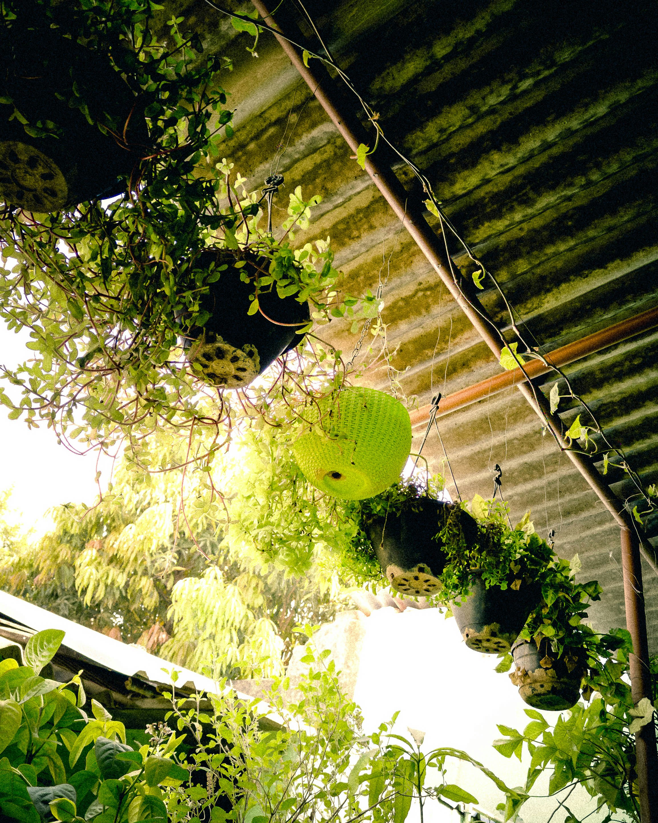 Photo by cinemascape