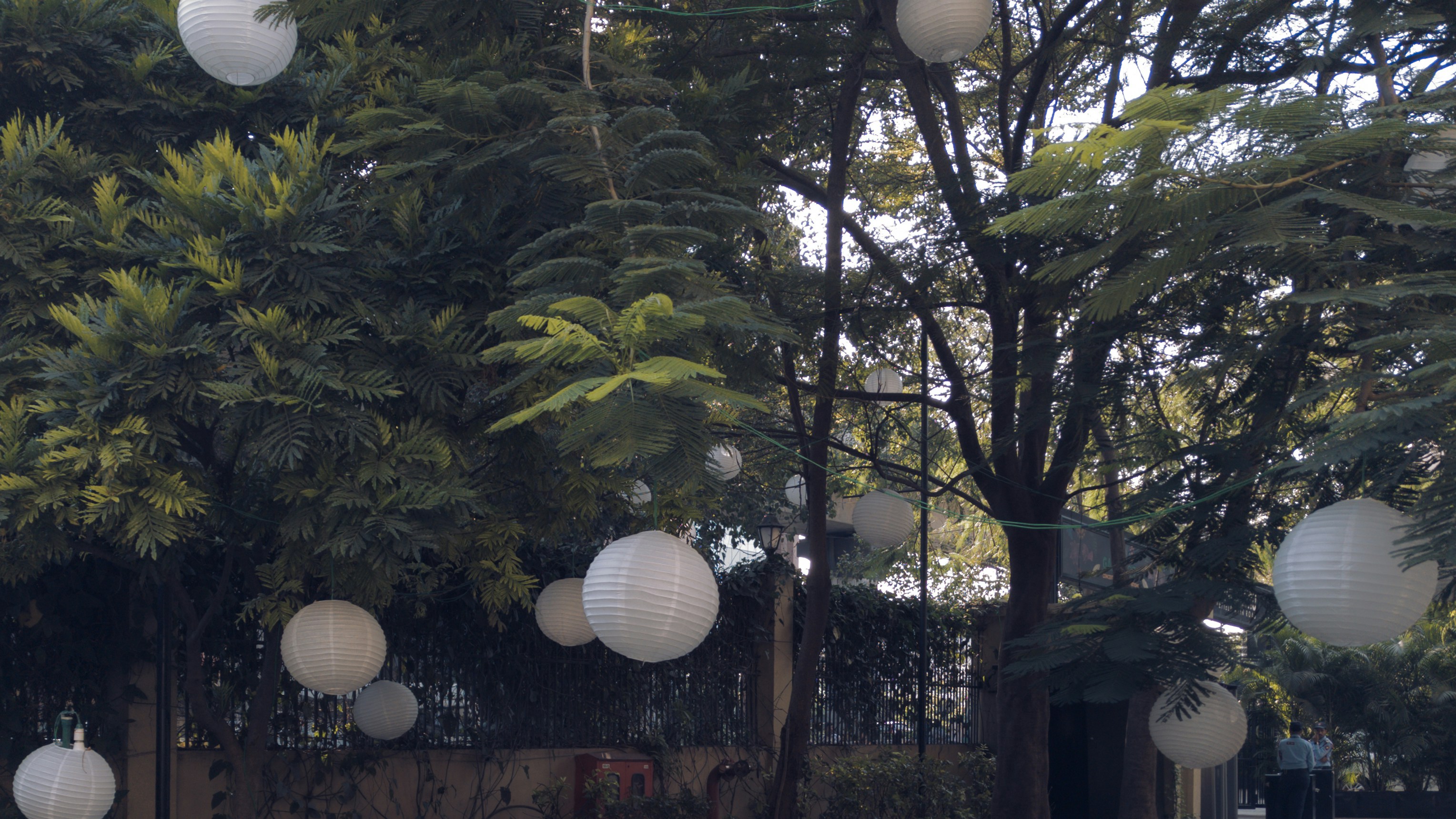 Photo by cinemascape