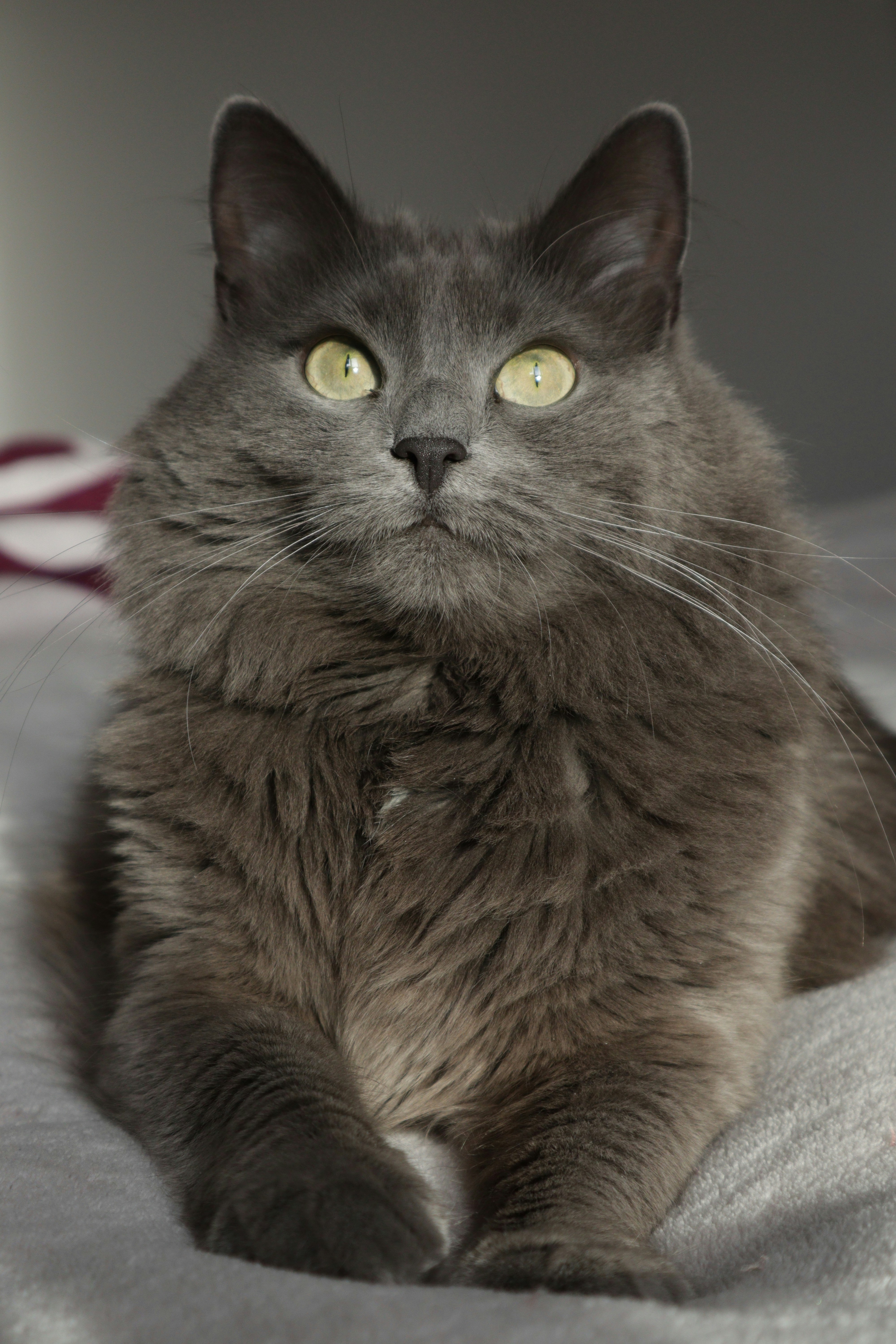 Photo by timesnewroman14