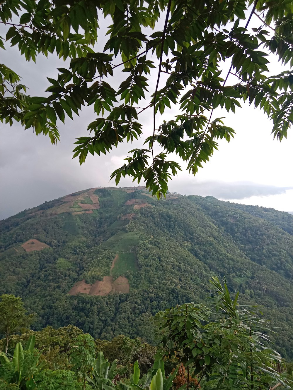 a view of a lush green mountain range