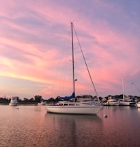A calm harbor scene at sunset with a red rose delicately placed on a ship's railing.