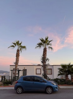 A blue and gold themed rental car parked in front of a cityscape.