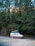A camper van with a raised roof parked on a dirt path, surrounded by dense, tall evergreen trees. The setting is serene and natural, suggesting a location in a forest or wooded area.