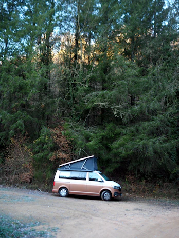 Sunrise over a winding mountain road with Vibeway camper parked beside tall pine trees.