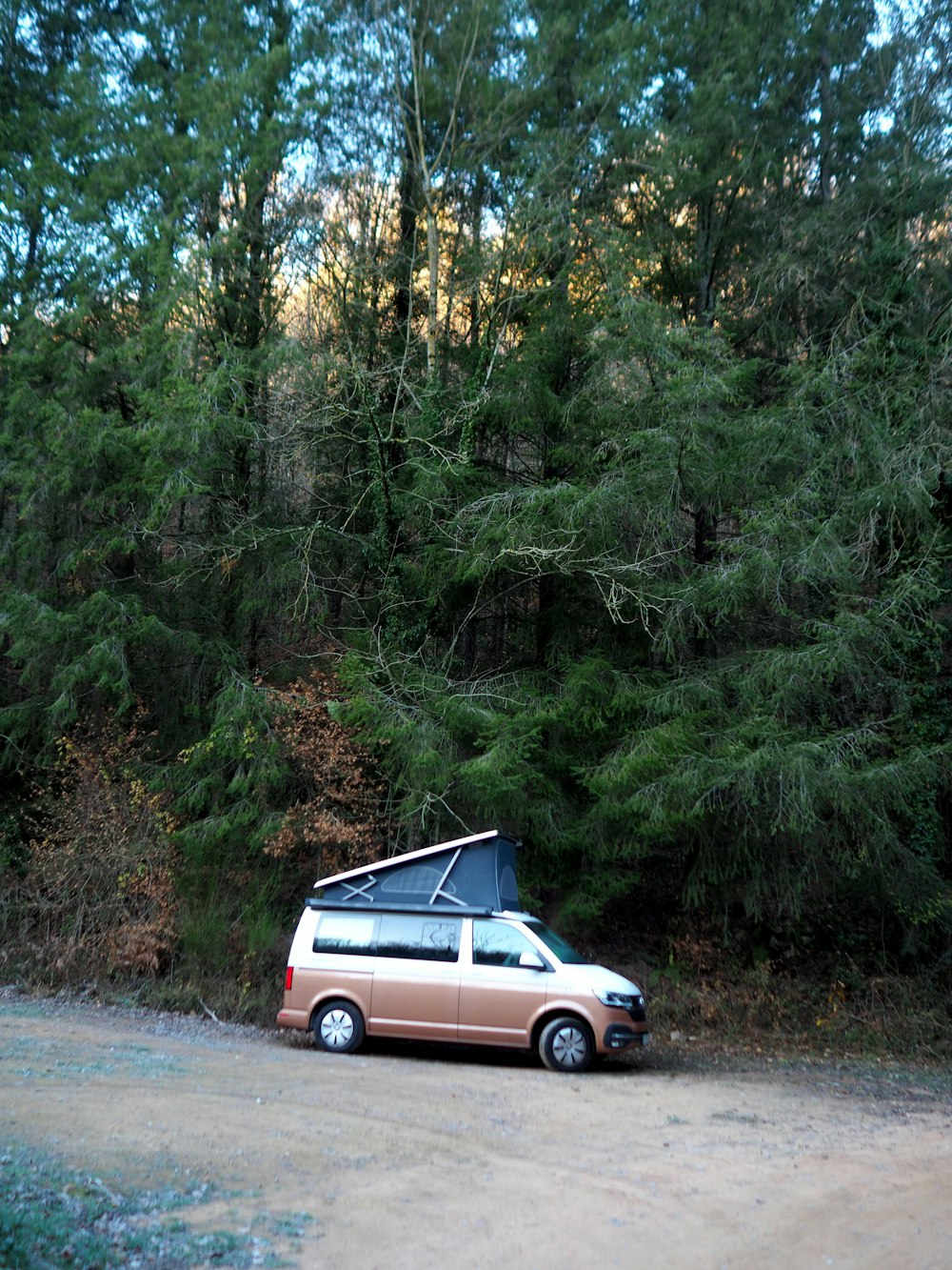 Uma van está estacionada em frente a uma floresta