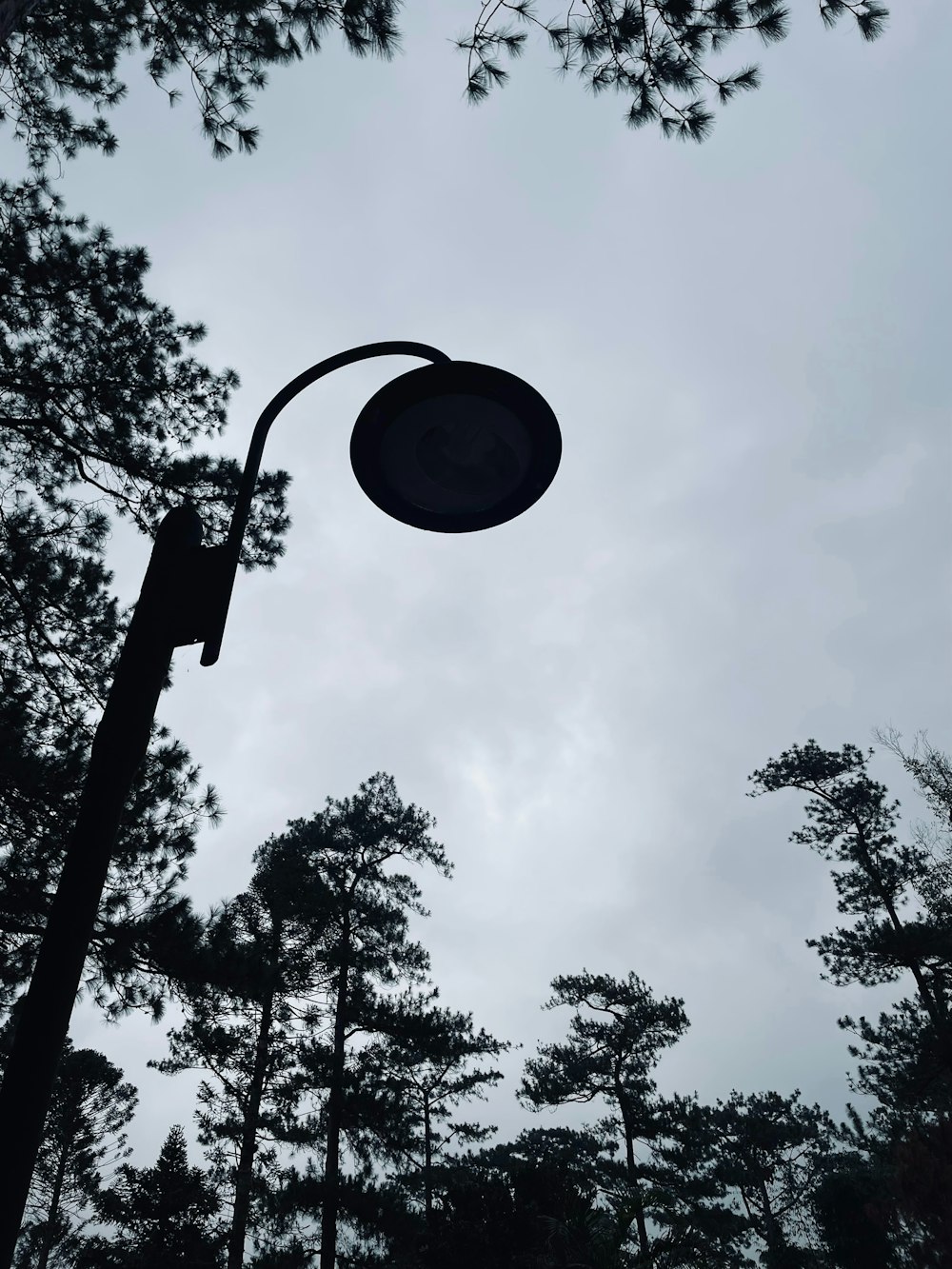 a street light in front of some trees