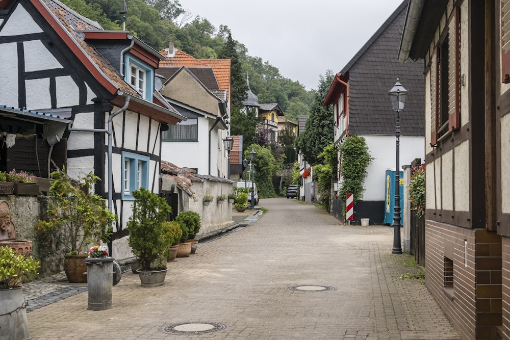 a cobblestone street lined with houses and potted plants