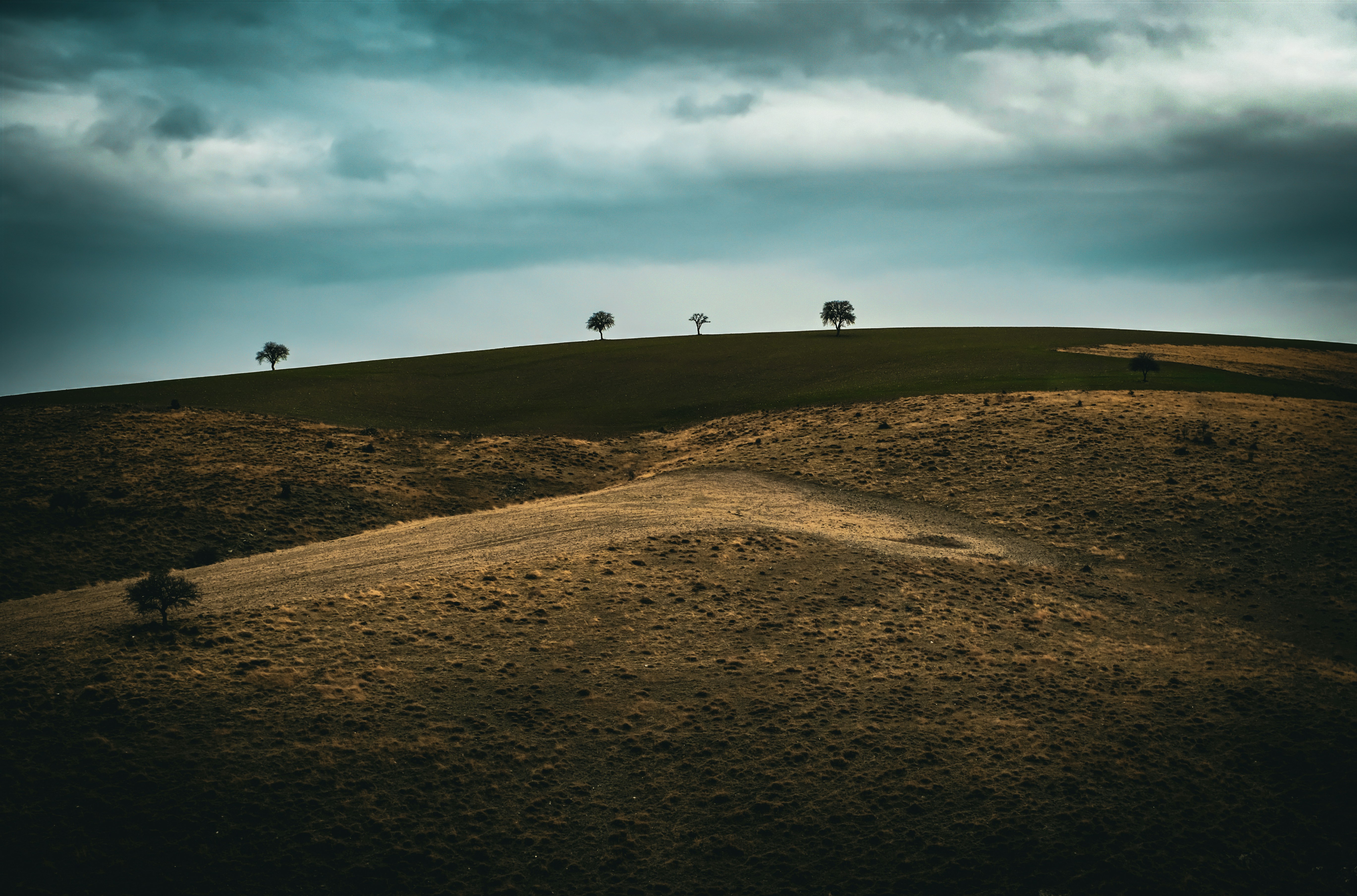 Photo by mountain_maan